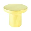 Online Disc Knob in Soft Gold Brass & Gold|Knobs