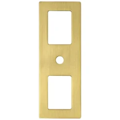 Online Statler Backplate in Modern Brushed Gold Brass & Gold|Cabinet Pulls