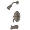 Century Tub and Shower Tub & Shower Sets