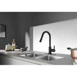 Best Continental Gourmetier Single-Handle Pull-Down Kitchen Faucet Single Hole