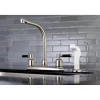 FB718DKL Centerset Kitchen Faucet in Brushed Nickel Faucets With Side Spray