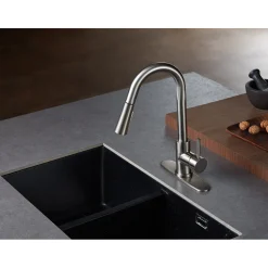 Sale Gourmetier Concord Single-Handle Kitchen Faucet with Pull-Down Sprayer Single Hole