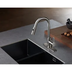 Best Gourmetier Continental Single-Handle Single-Hole Pull-Down Kitchen Faucet Single Hole