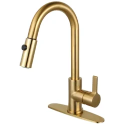 Best Gourmetier Continental Single-Handle Single-Hole Pull-Down Kitchen Faucet Single Hole