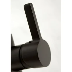 Online Gourmetier Continental Single-Handle Pull-Down Kitchen Faucet Single Hole