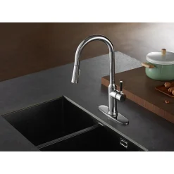 Outlet Gourmetier Kaiser Single-Handle Pull-Down Kitchen Faucet Single Hole
