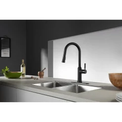 Outlet Gourmetier Kaiser Single-Handle Pull-Down Kitchen Faucet Single Hole