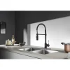 Online Gourmetier Paris Single-Handle Pull-Down Kitchen Faucet Single Hole