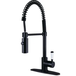 Online Gourmetier Paris Single-Handle Pull-Down Kitchen Faucet Single Hole