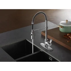 Online Gourmetier Paris Single-Handle Pull-Down Kitchen Faucet Single Hole