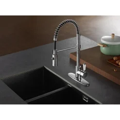 Online Gourmetier Paris Single-Handle Pull-Down Kitchen Faucet Single Hole