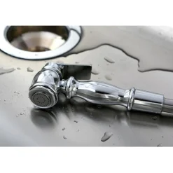Gourmetier Vintage Kitchen Faucet Sprayer Replacement Side Sprays