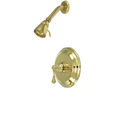 Clearance Magellan Wall Mount Shower Only Faucet Shower Heads
