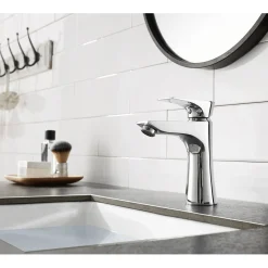 Outlet Millennium Single-Handle Bathroom Faucet Single Hole