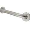 New 42" Stainless Steel Grab Bar in Brushed Stainless Grab Bars