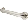 Outlet 12" Stainless Steel Grab Bar in Brushed Stainless Grab Bars