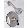 Best VB4638PKLSO Metropolitan Onyx Shower Faucet Only with Lever Handle in Brushed Nickel Shower Heads