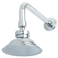 Discount Victorian Brass Showerhead with 12