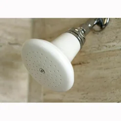 Outlet Victorian 5-1/8" Ceramic Shower Head Shower Heads