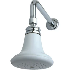Best Victorian Ceramic Showerhead with 12