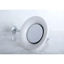 Sale Victorian Sunflower Showerhead with 12" Shower Arm Combo Shower Heads