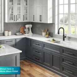 Online Allyn Black Stainless Nut & Bolt Diamond Cut Kitchen Faucet Single Hole