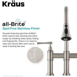 Outlet Allyn Bridge Faucet with Pull-Down Sprayhead in Spot Free Stainless Steel Bridge Faucets