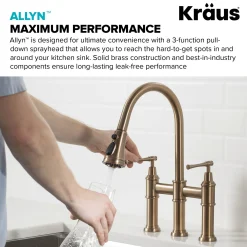 Clearance Allyn Bridge Faucet with Pull-Down Sprayhead in Brushed Gold Bridge Faucets