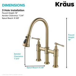 Clearance Allyn Bridge Faucet with Pull-Down Sprayhead in Brushed Gold Bridge Faucets