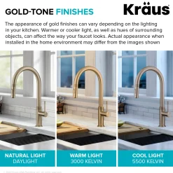 Allyn Brushed Gold Single Handle Kitchen Faucet with Diamond Cut Single Hole