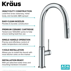 Clearance Allyn Chrome Single Handle Kitchen Faucet with Diamond Cut- ** Discontinued Single Hole