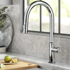 Clearance Allyn Chrome Single Handle Kitchen Faucet with Diamond Cut- ** Discontinued Single Hole