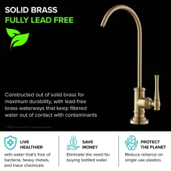 Sale Allyn Drinking Water Dispenser Kitchen Faucet in Brushed Gold Single Hole|Water Filter Faucets