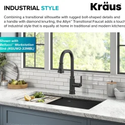 New Allyn Industrial Pull-Down Kitchen Faucet in Matte Black Single Hole