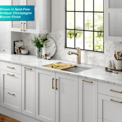 Hot Allyn Industrial Pull-Out Single Handle Kitchen Faucet in Spot-Free Stainless Steel Single Hole