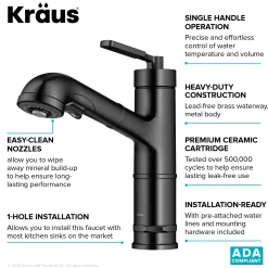 Online Allyn Industrial Pull-Out Single Handle Kitchen Faucet in Black Stainless Single Hole