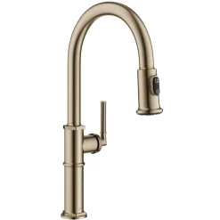 Allyn Nut & Bolt Diamond Cut Brushed Gold Kitchen Faucet Single Hole