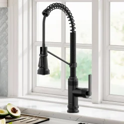 Outlet Allyn Single Handle Pull Down Kitchen Faucet in Matte Black Single Hole