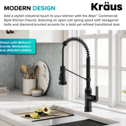 Outlet Allyn Single Handle Pull Down Kitchen Faucet in Matte Black Single Hole