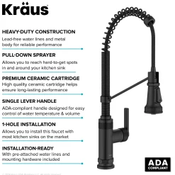 Outlet Allyn Single Handle Pull Down Kitchen Faucet in Matte Black Single Hole