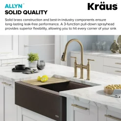 Outlet Allyn Transitional Bridge Kitchen Faucet & Water Filter Faucet in Brushed Gold Water Filter Faucets|Bridge Faucets