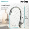 Best Ansel Dual Function Pull-Down Kitchen Faucet in Chrome - Discontinued Single Hole