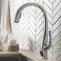 Best Ansel Dual Function Pull-Down Kitchen Faucet in Chrome - Discontinued Single Hole