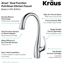 Best Ansel Dual Function Pull-Down Kitchen Faucet in Chrome - Discontinued Single Hole