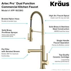 Outlet Artec Pro 2-Function Commercial Style Pre-Rinse Kitchen Faucet in Brushed Gold Single Hole