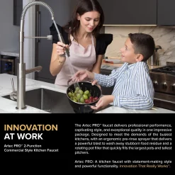 Online Artec Pro 2-Function Commercial Style Pre-Rinse Kitchen Faucet in Matte Black/Black Stainless Single Hole