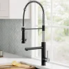Artec Pro 2-Function Single Handle Pull Down Kitchen Faucet in Spot-Free Stainless Steel & Matte Black Single Hole