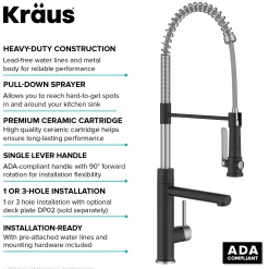 Artec Pro 2-Function Single Handle Pull Down Kitchen Faucet in Spot-Free Stainless Steel & Matte Black Single Hole