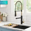 Discount Artec Pro 2-Function Single Handle Pull Down Kitchen Faucet in Brushed Brass & Matte Black Single Hole