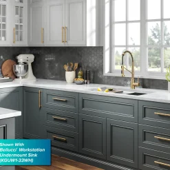 New Bolden Commercial Style Pull-Down Single Handle 18-Inch Kitchen Faucet in Brushed Brass Single Hole